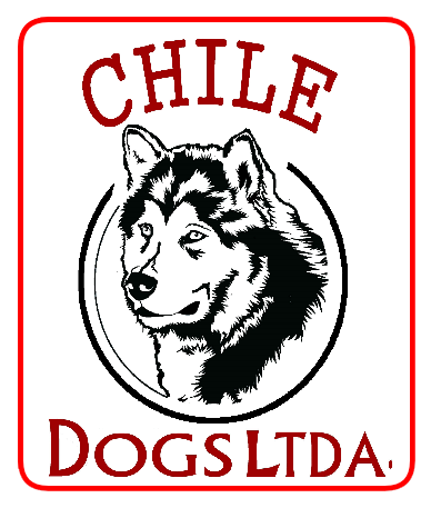Logo Chile Dogs